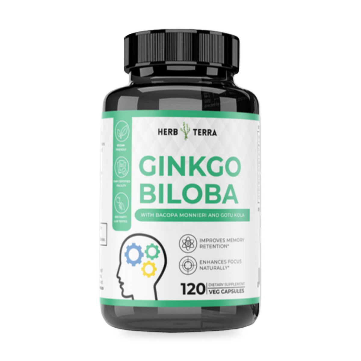Herb Terra Ginkgo Biloba with Bacopa, 120 Veg Capsules: bottle front on white background